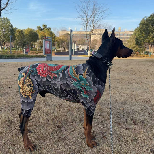 Doberman wearing the Dog Tattoo Sleeve Suit, side view on grass